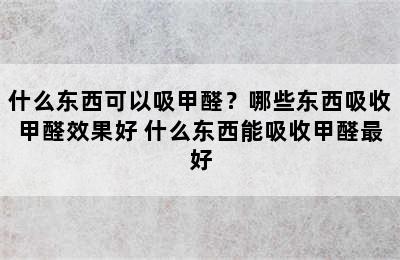 什么东西可以吸甲醛？哪些东西吸收甲醛效果好 什么东西能吸收甲醛最好